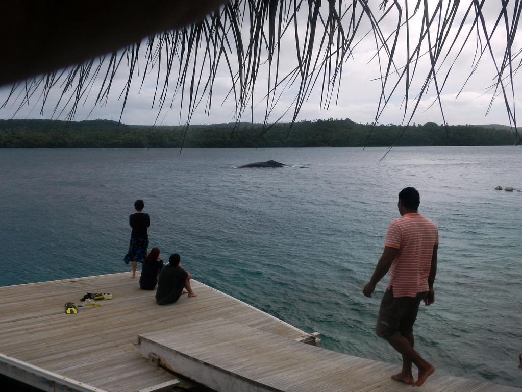 Tongan Beach Resort Utungake Exterior foto